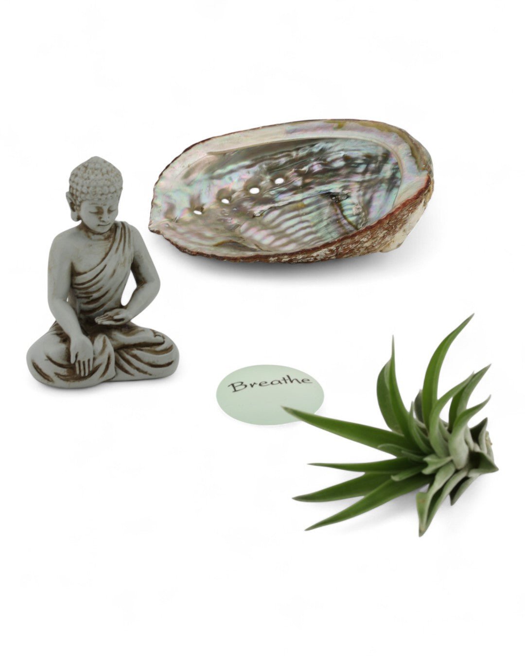 Small Abalone Shell Zen Buddha Terrarium、mySite、topwebapps