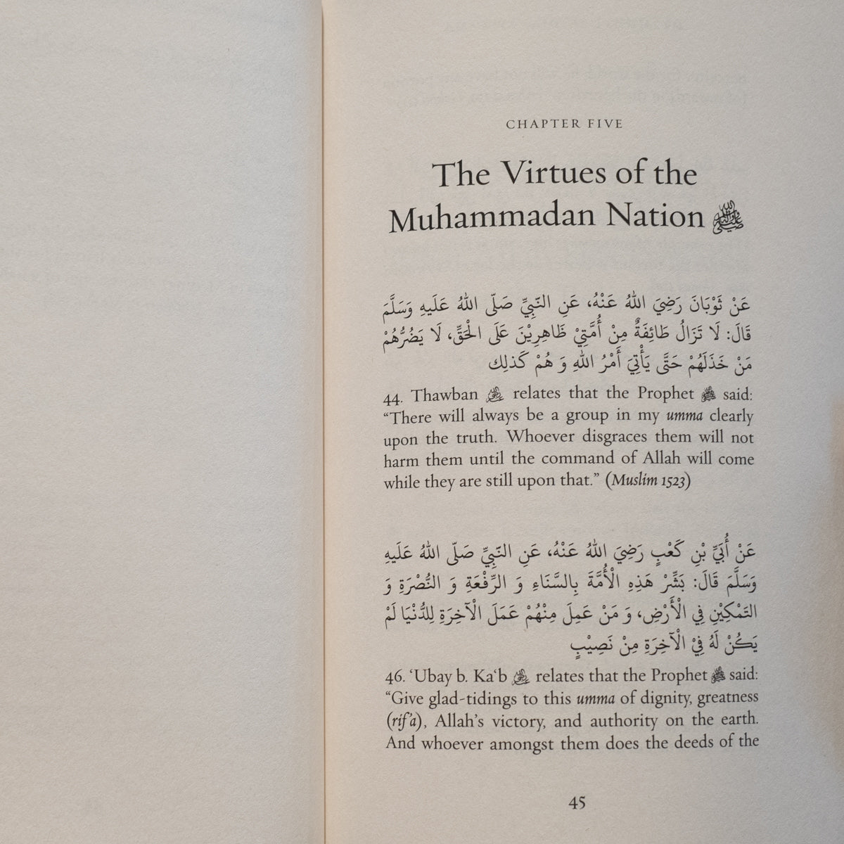 Concise Narrations to Raise the Next Generation、mySite、topwebapps