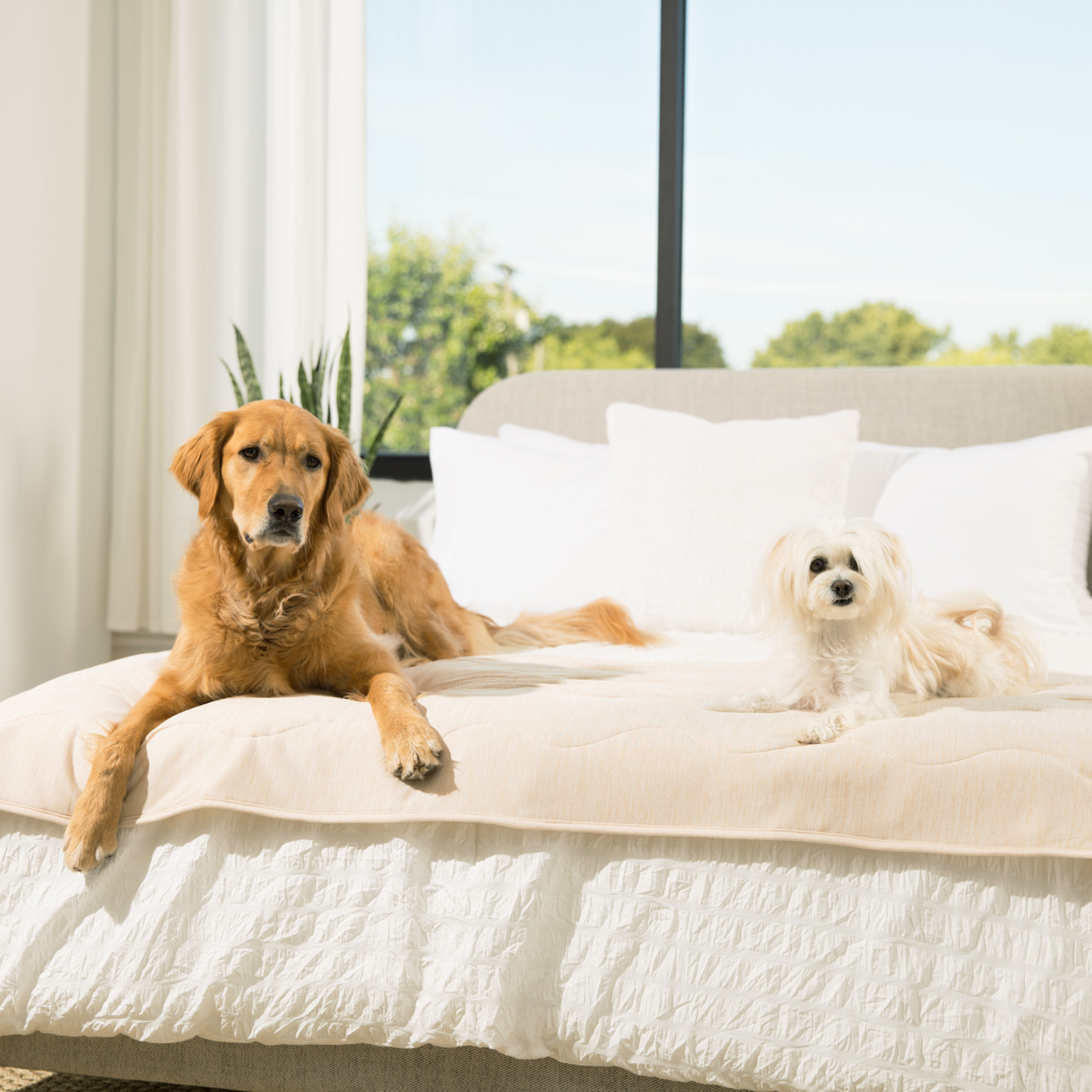 PupChill™ Cooling Waterproof Runner Blanket - Arctic Sand、mySite、solidvoid