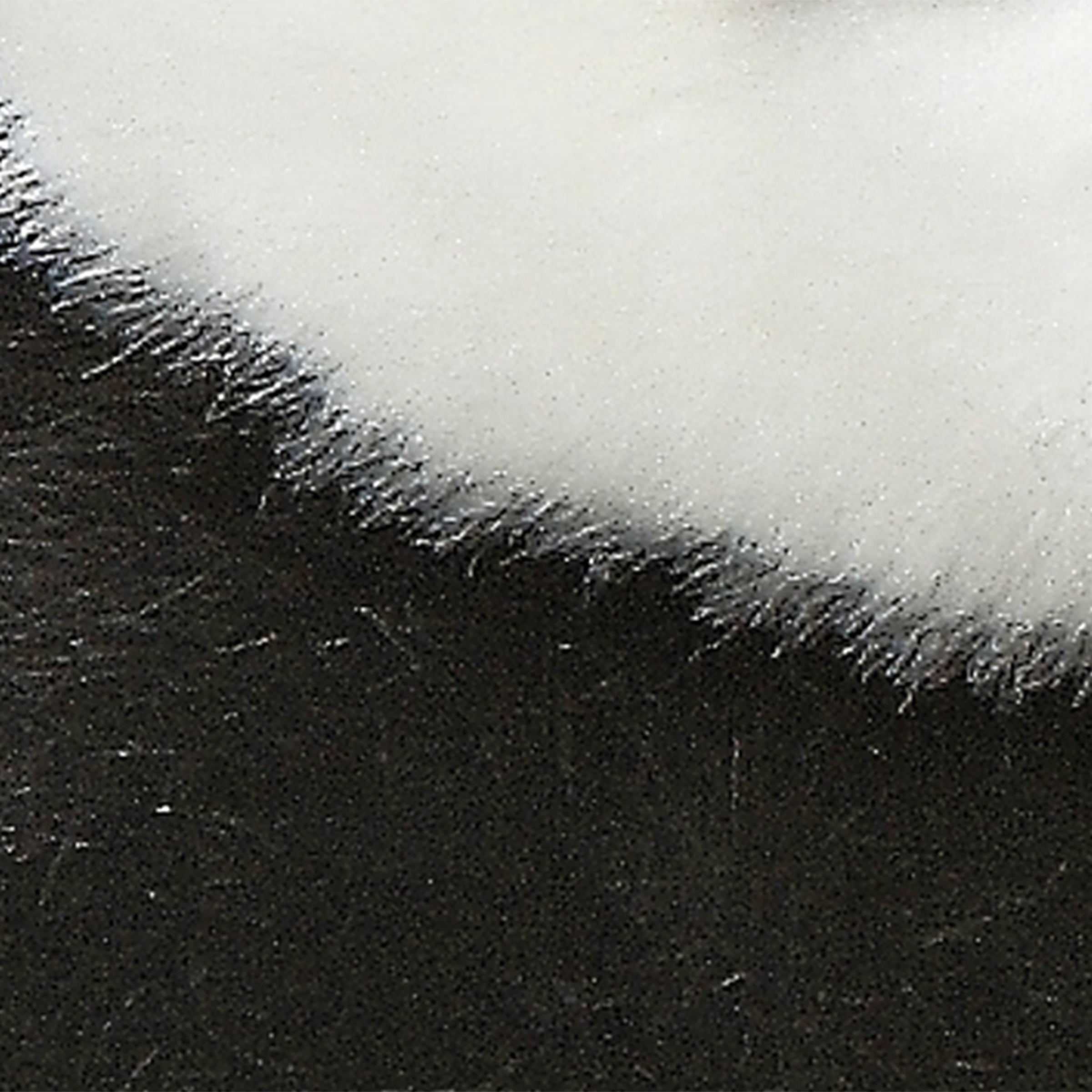 Aurora® - Miyoni® - Panda、mySite、g9winljtr