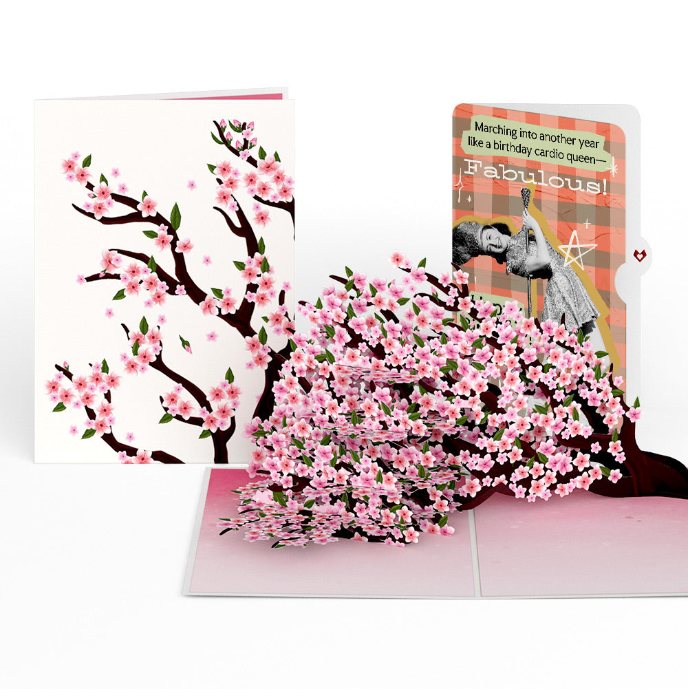 Cherry Blossom Branches in Bloom Birthday Pop-Up Card and Cardio Queen Sentiment Set、mySite、solidvoid