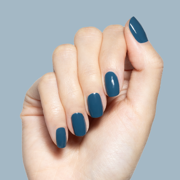 Bodysuit、mySite、solidvoid