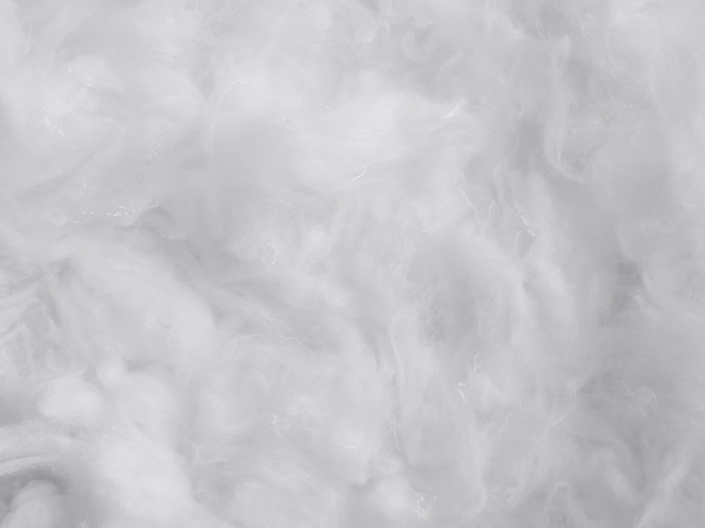  Down Alternative Euro Pillow、mySite、sugarbowlscore