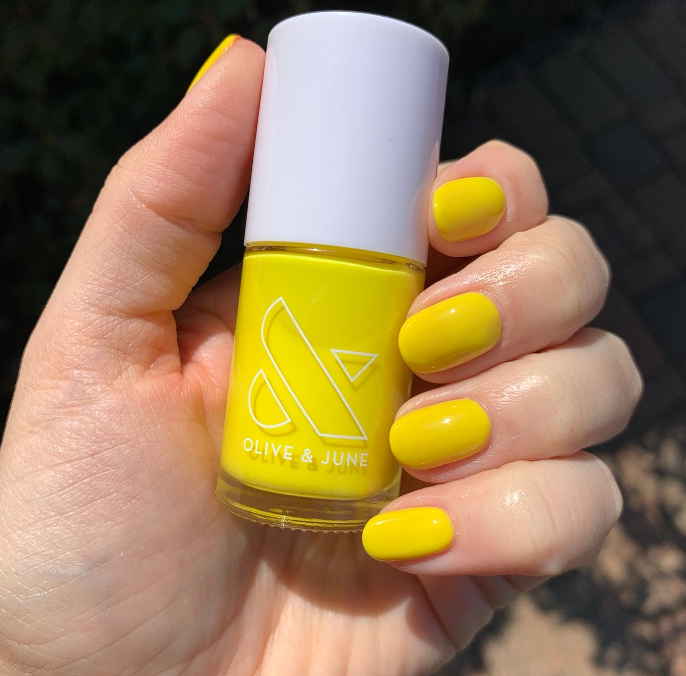 Lemony Lemon - Part of Set、mySite、solidvoid