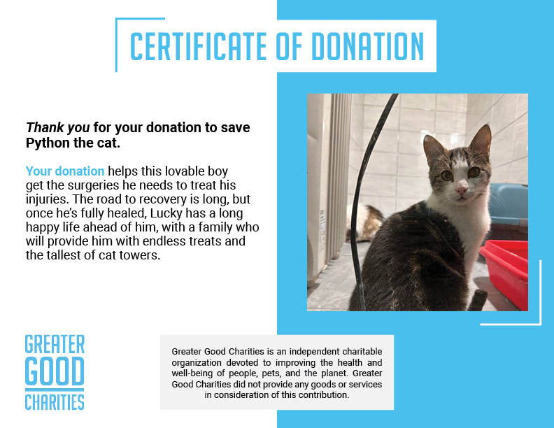 Funded: Save Python’s Paw from Bullet Wound、mySite、camillekostekn