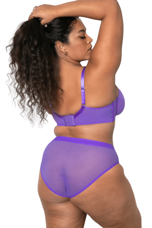 Sheer Mesh High Cut Brief - Violet、mySite、bengalsvssteelers