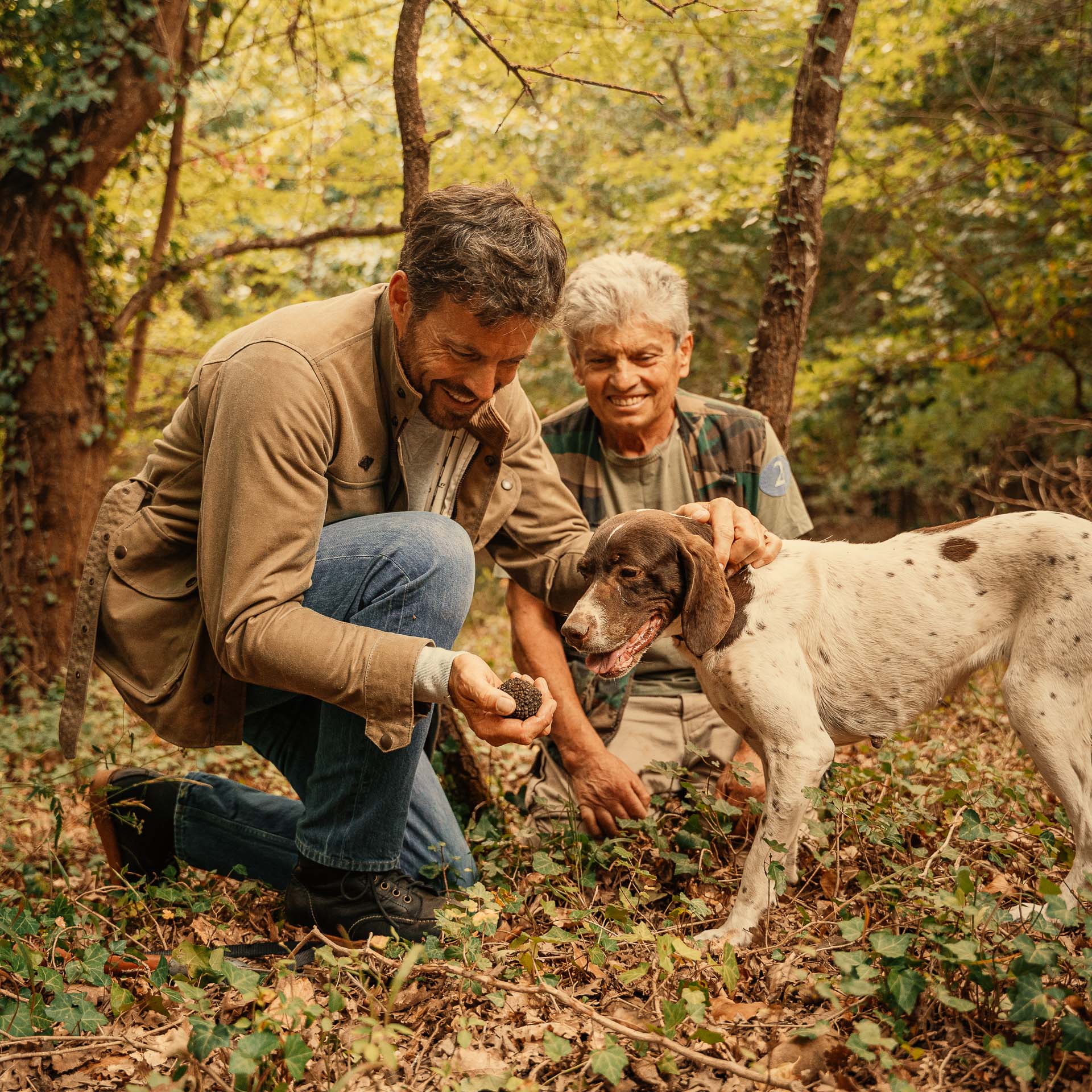  Pastissee、mySite、merchandisen