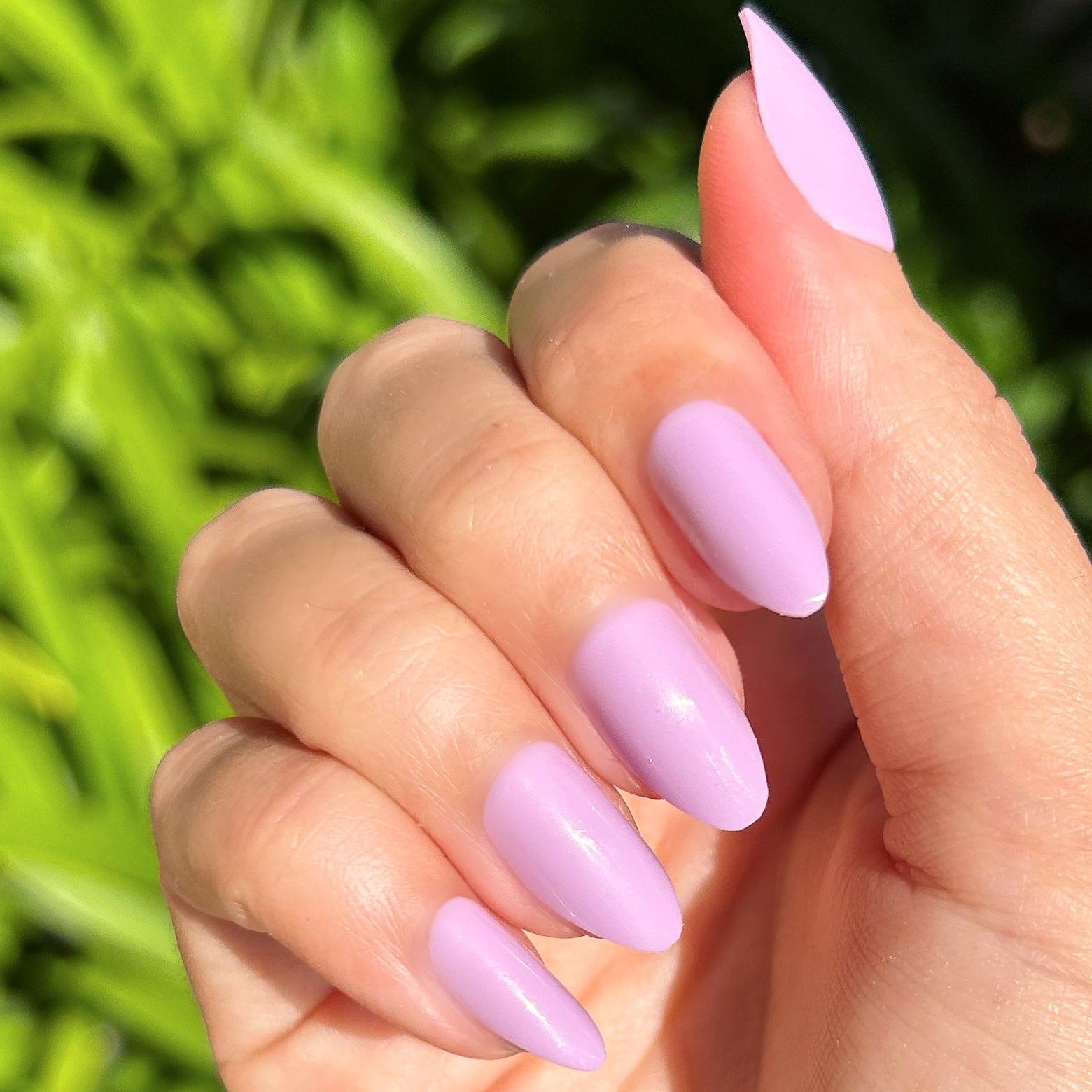 You're Invited - Press-On | Medium | Almond、mySite、solidvoid