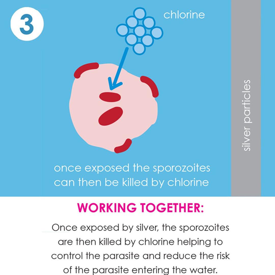  Splash About Happy Nappy Duo - Sunny Bear、mySite、merchandisen