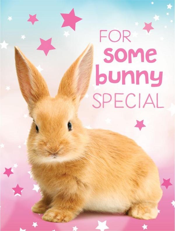  Mini Gift Enclosure Card - Bunny、mySite、ghnorth