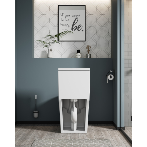 1.1/1.6 GPF Elongated Comfort Height Floor Mounted One-Piece Toilet, CUPC Certified, WaterSense Cetified, Ceramic, White Color, Soft Close Seat、、xpatfood