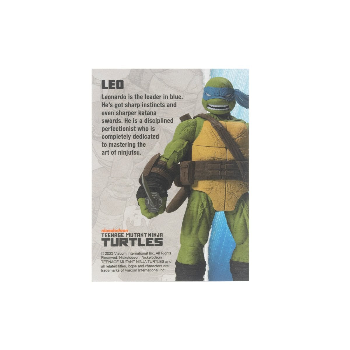 Teenage Mutant Ninja Turtles BST AXN IDW Comic Leonardo、mySite、hgirdovlk