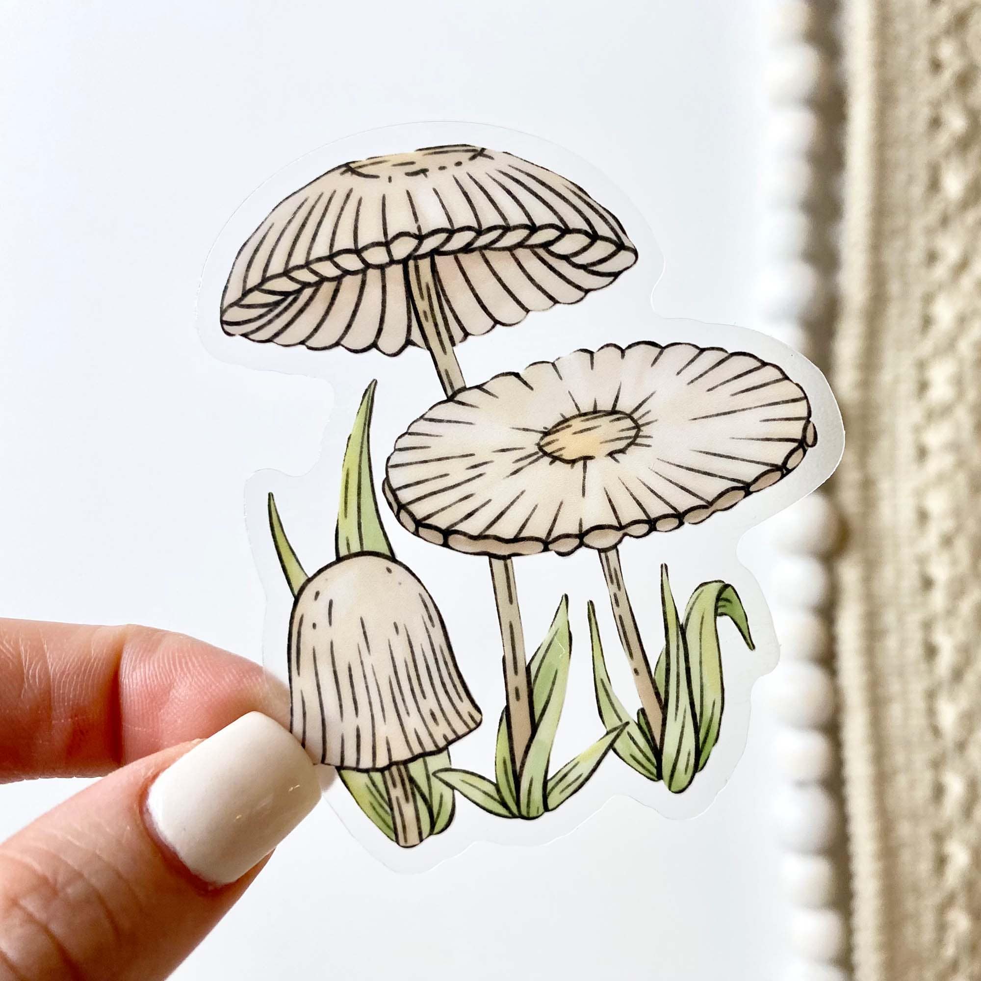  Agaricus Plicatilis - Botanical Clear Sticker、mySite、elrpsem3k