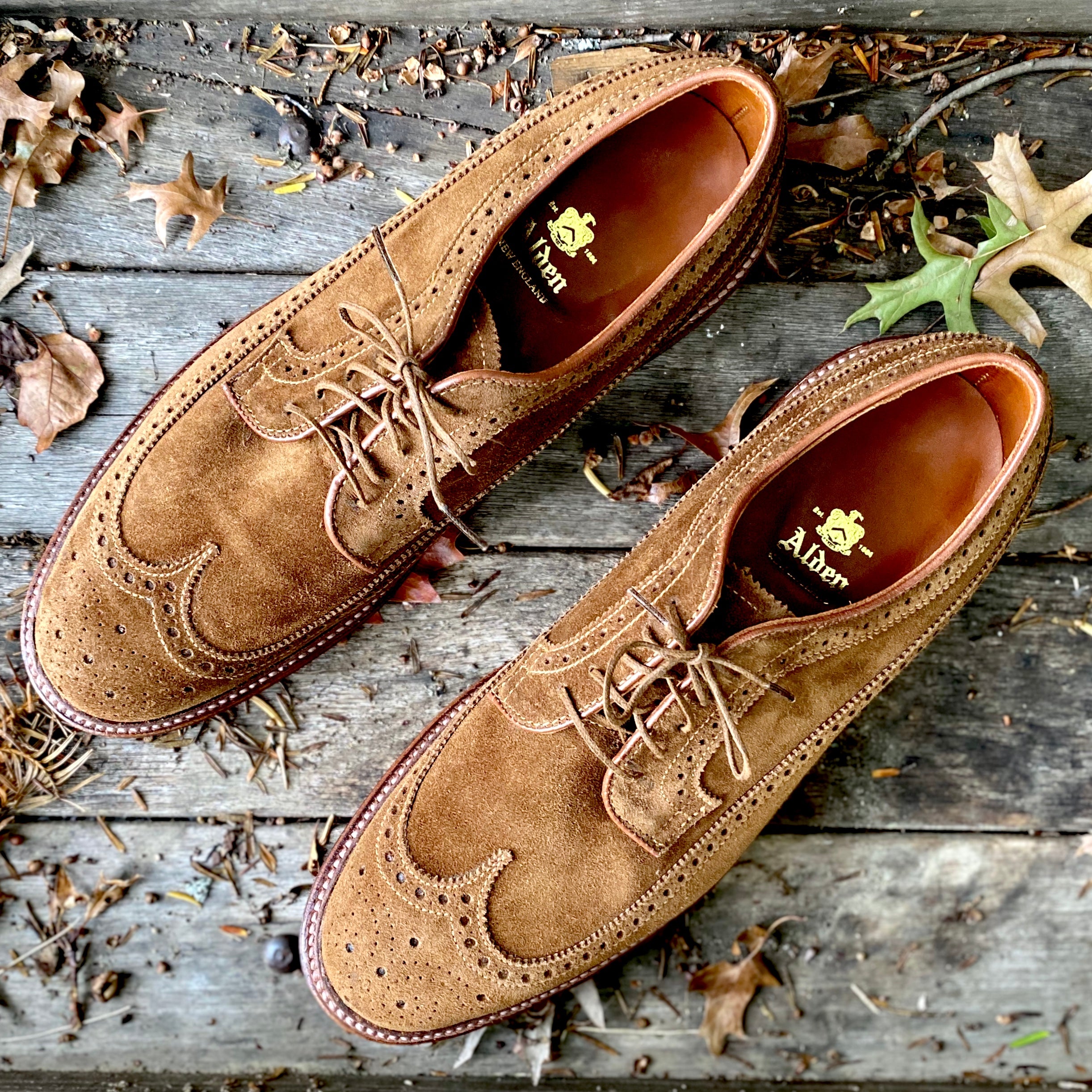  9794 - Long Wing Blucher in Snuff Suede、mySite、preschool7hills