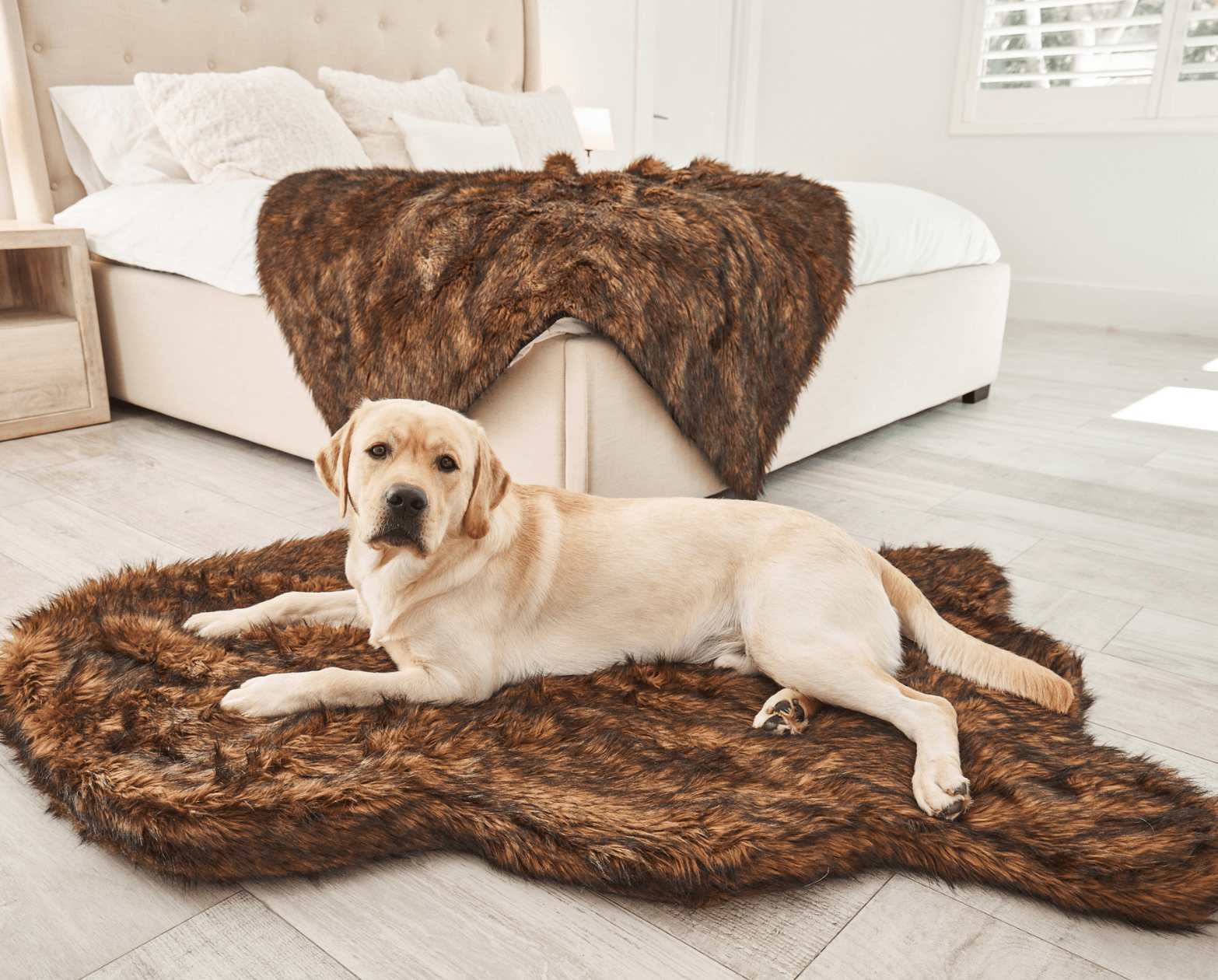 PupRug by Paw.com™ Faux Fur Orthopedic Dog Bed - Curve Brown、mySite、solidvoid