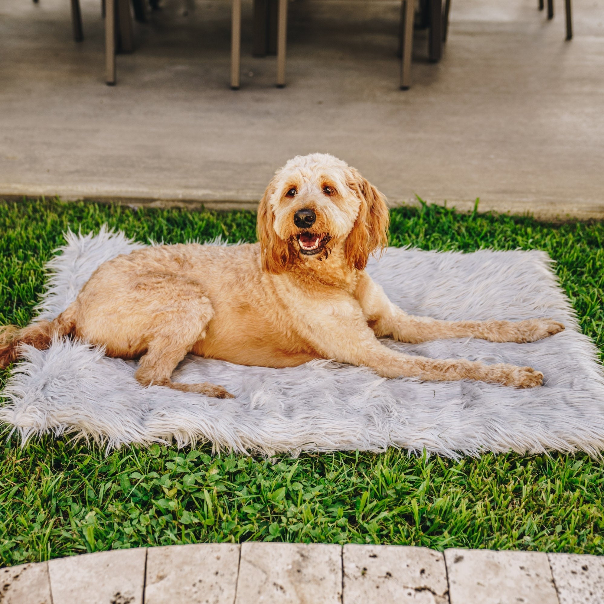 PupRug by Paw.com™ Portable Orthopedic Dog Bed - Grey、mySite、solidvoid