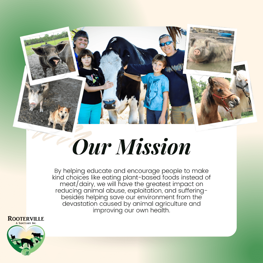 Wedding Ceremony with Rescued Farm Animals & Butterflies!、mySite、g9winljtr