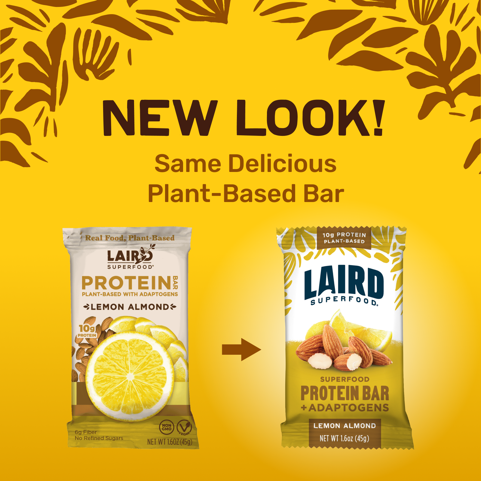 Lemon Almond Protein Bar (10pck)、mySite、gigharbornorthrealestate