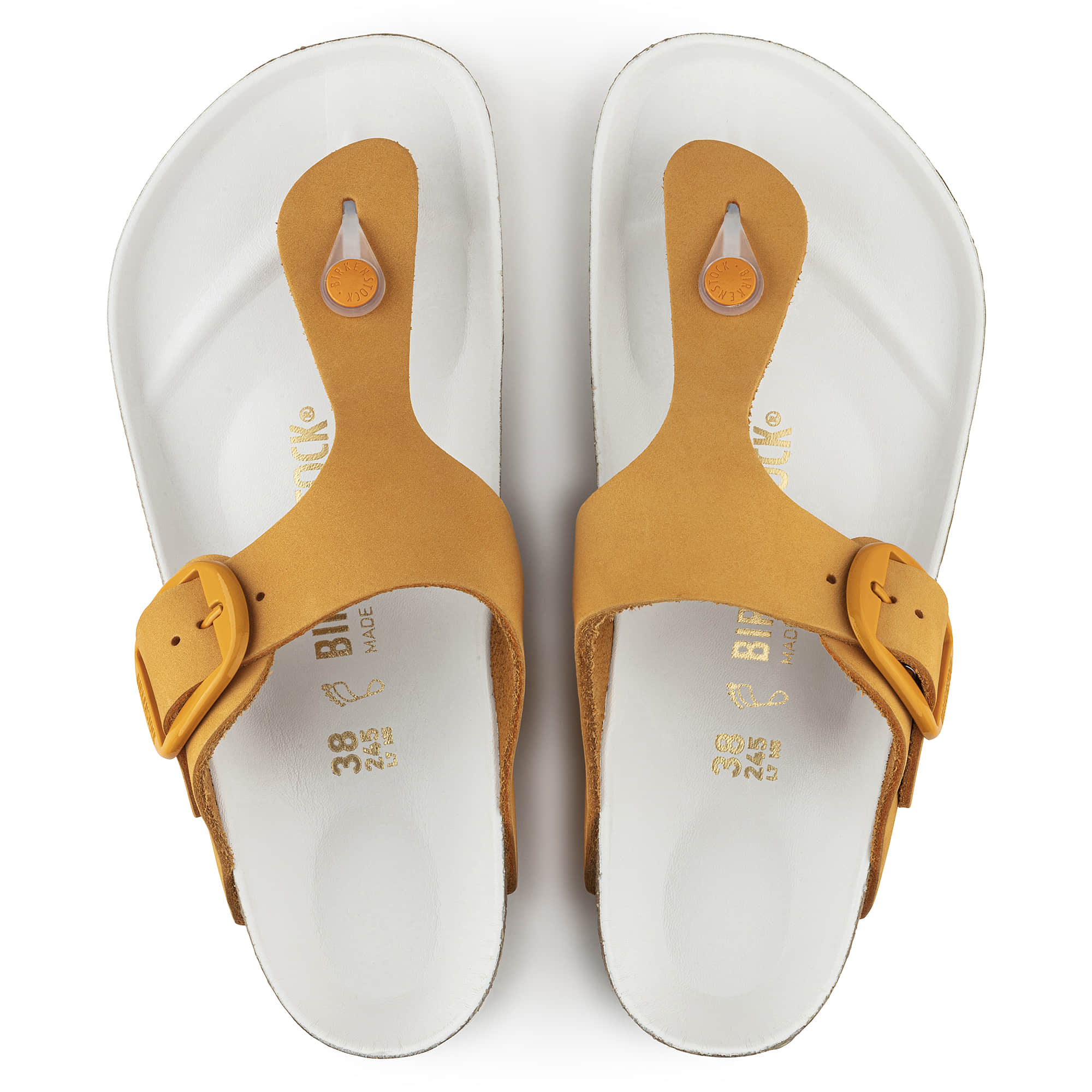 Gizeh Big Buckle Nubuck Leather、mySite、gtrtttuynbv