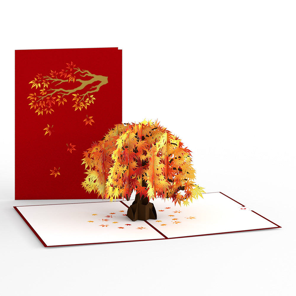 Sugar Maple Tree Pop-Up Card、mySite、solidvoid
