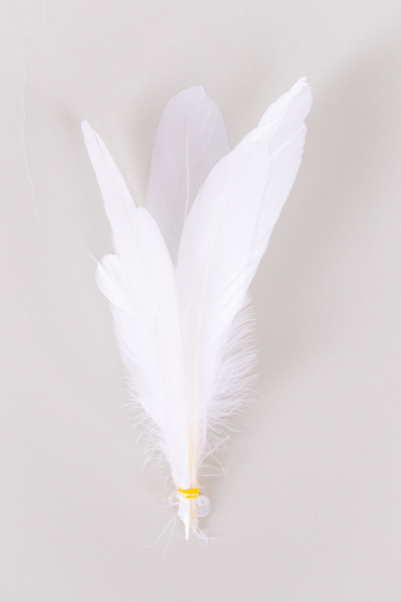 Goose Feathers Bundle of 6 - Yellow Rubber Band - FINAL SALE、mySite、hinf8tx79