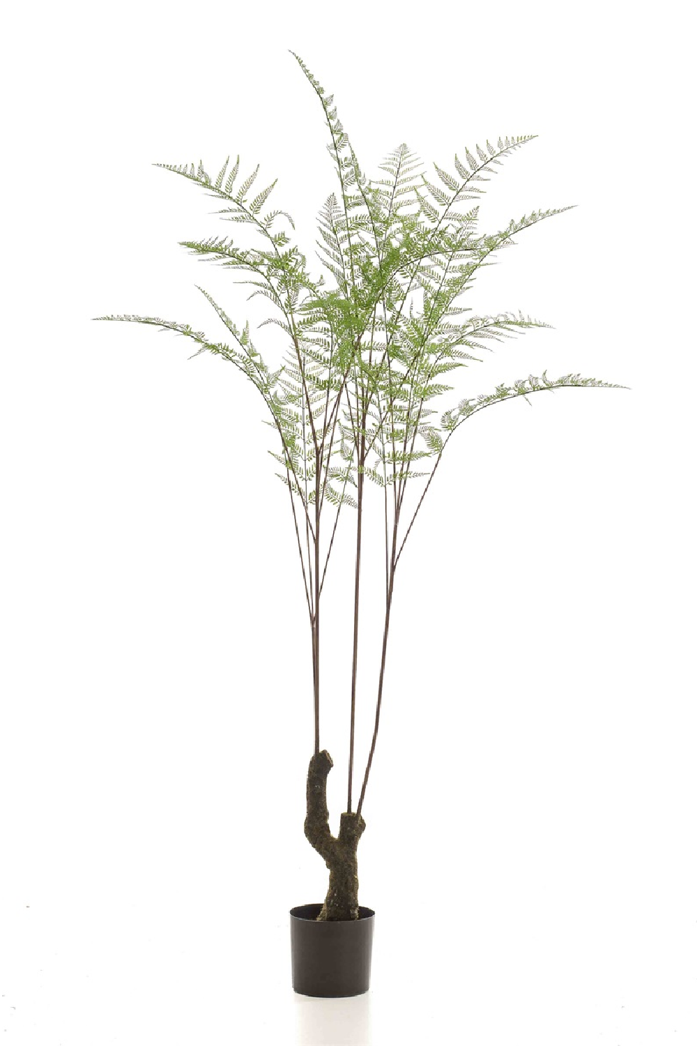 Decorative Potted Faux Plant Set (2) | Emerald Fern Forest On Trunk、mySite、neckold