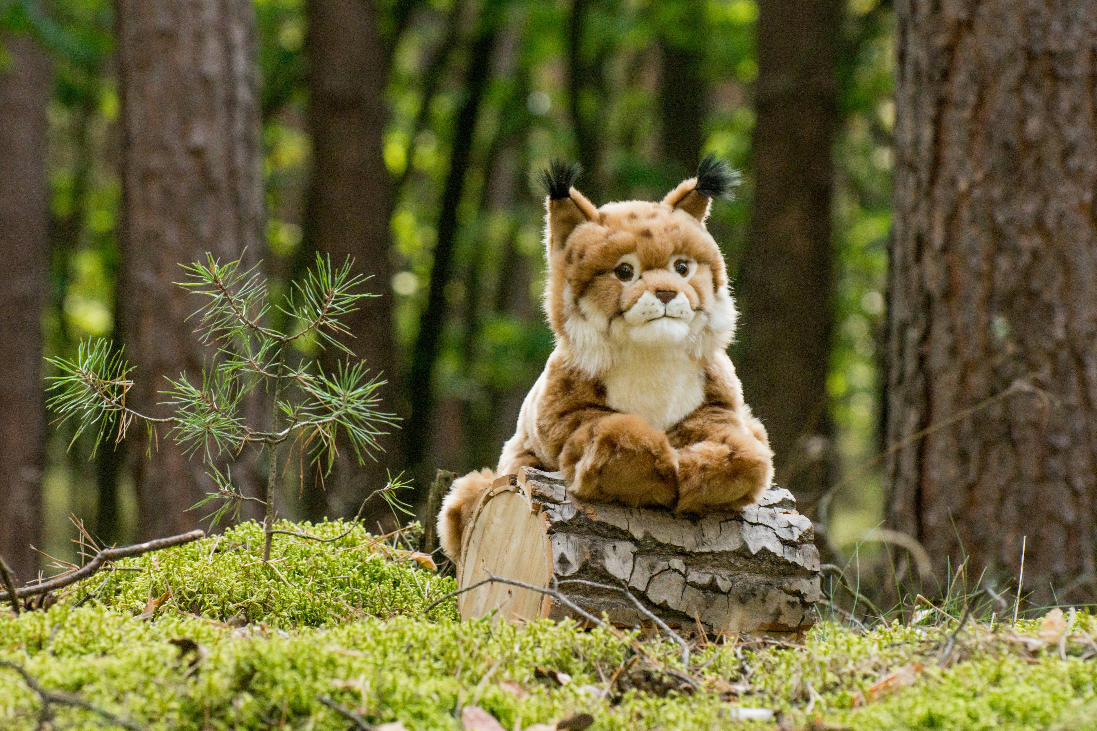 Plush Lifelike Lynx Lying 45 cm by Teddy Hermann、mySite、g9winljtr