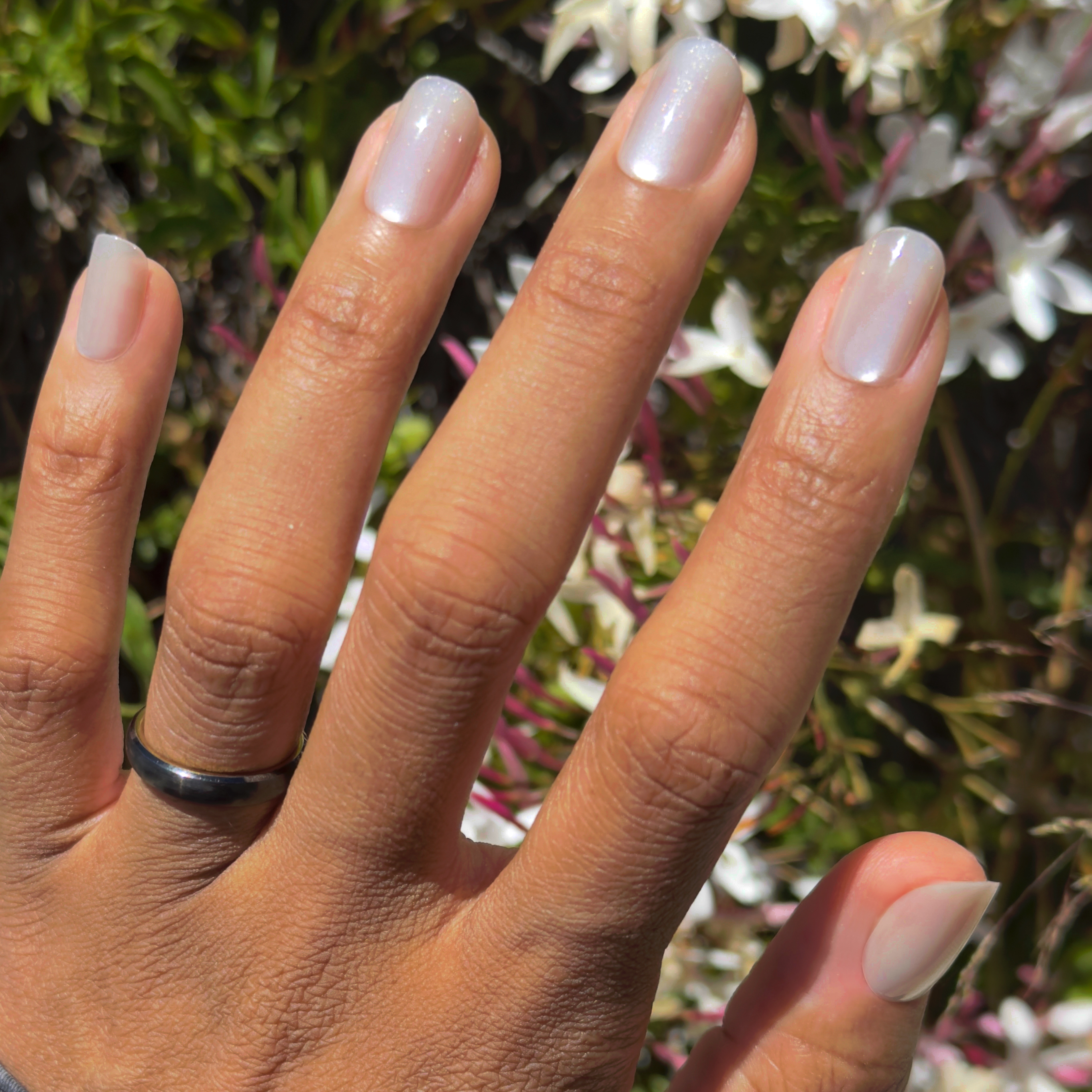 Cream Velvet - Press-On | Short | Squoval、mySite、solidvoid