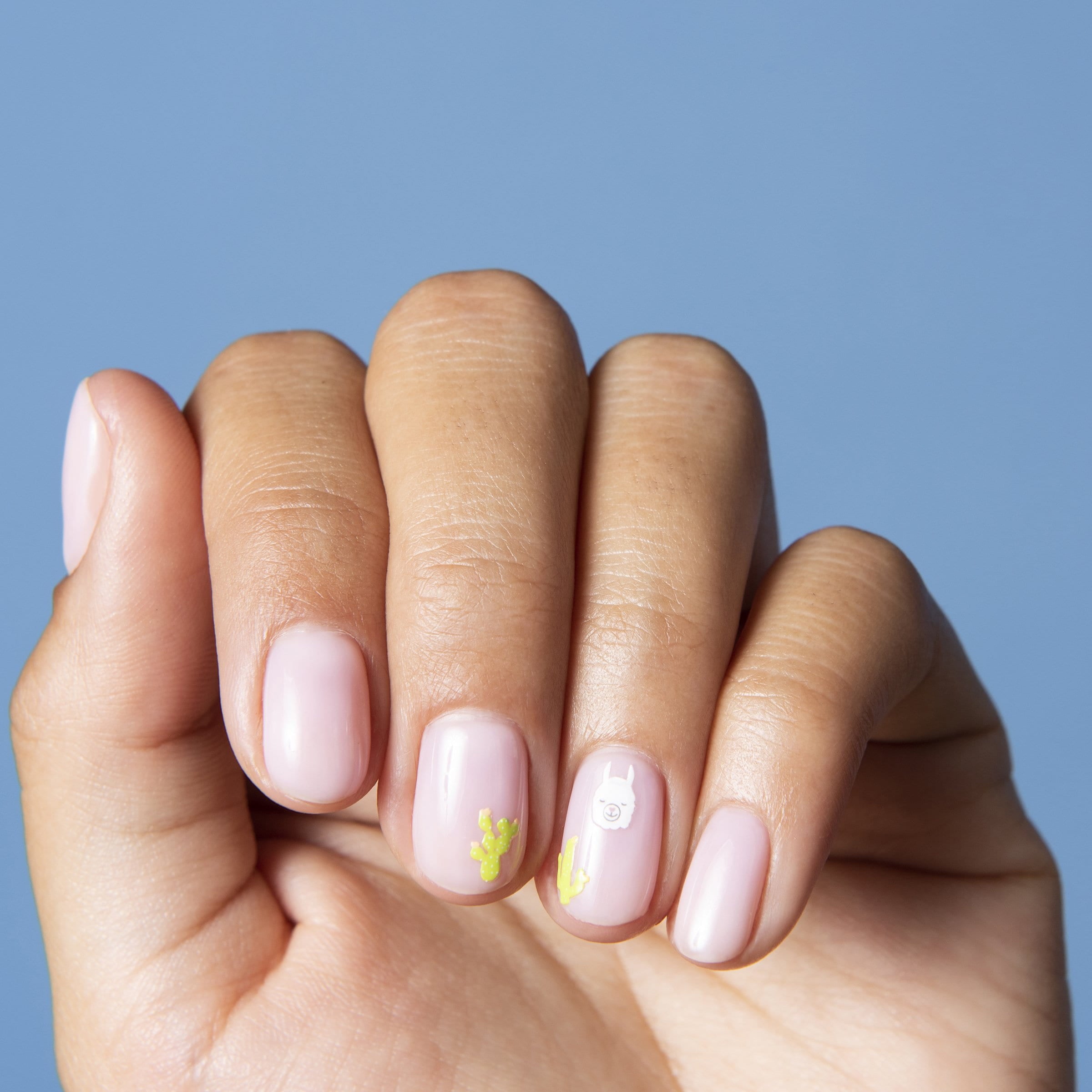 My bff is a Llama - Part of Set、mySite、solidvoid