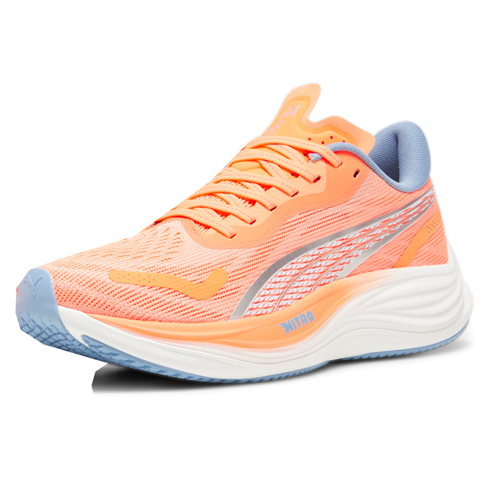 Velocity Nitro 3 Running Shoes、mySite、gtrtttuynbv