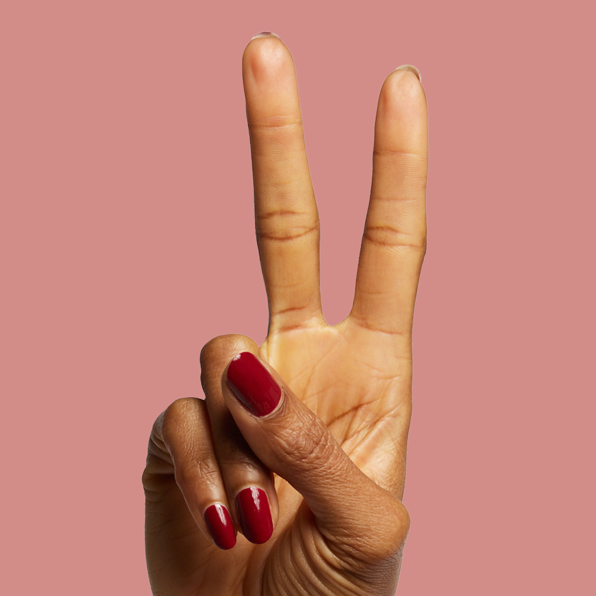 Brick、mySite、solidvoid