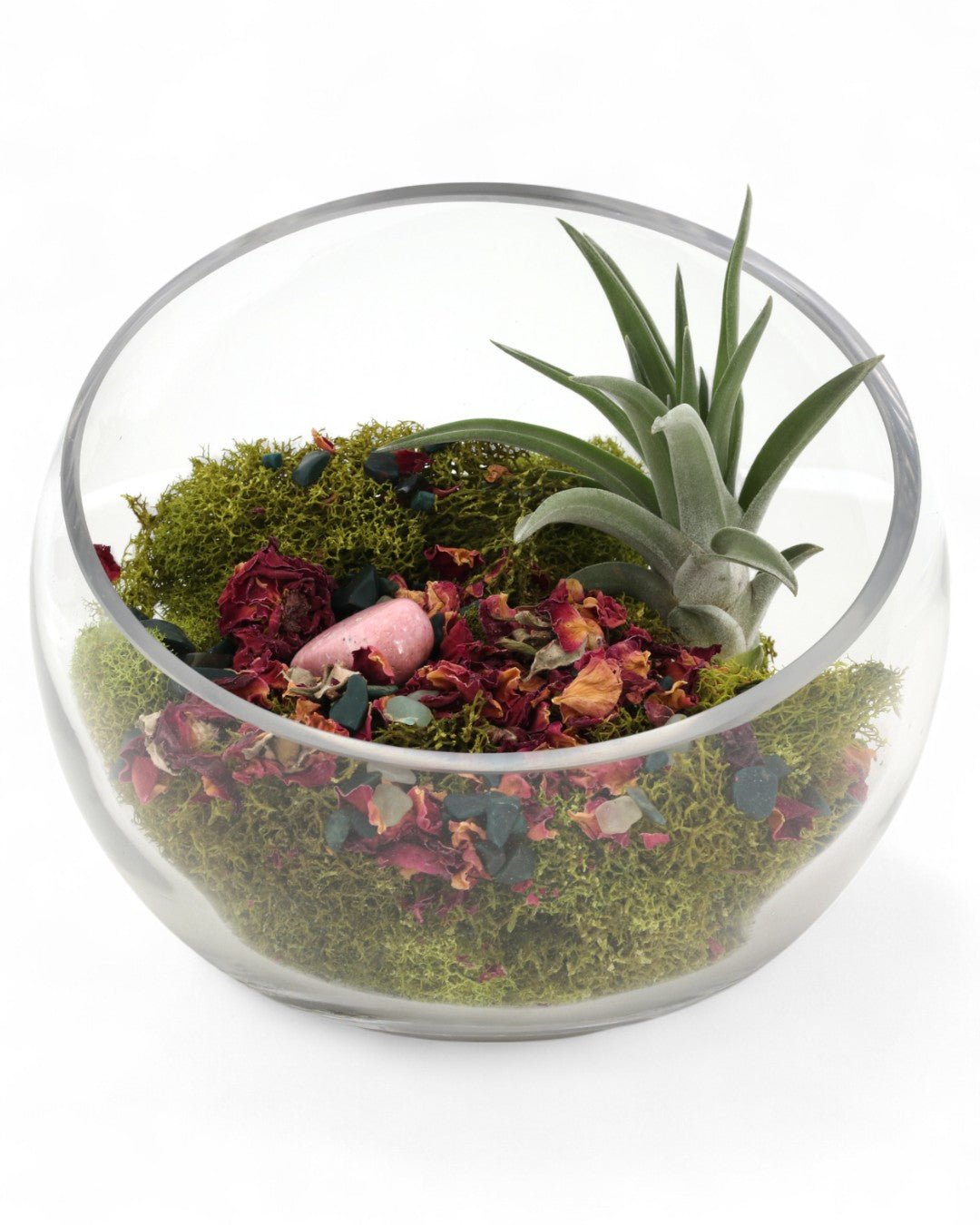 Love and Compassion Terrarium with Air Plant、mySite、topwebapps