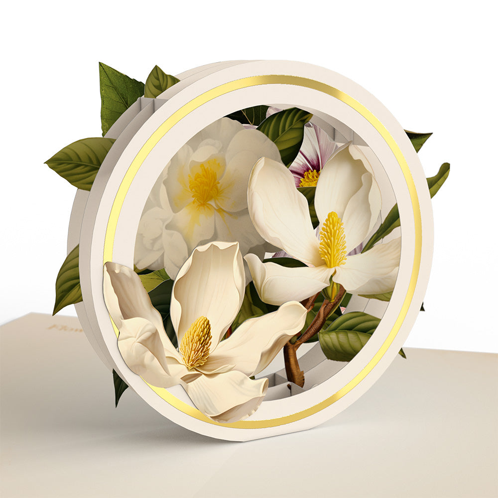 Beautiful Botanicals Box Set (Assorted 12-Pack): Paperpop® Card、mySite、solidvoid