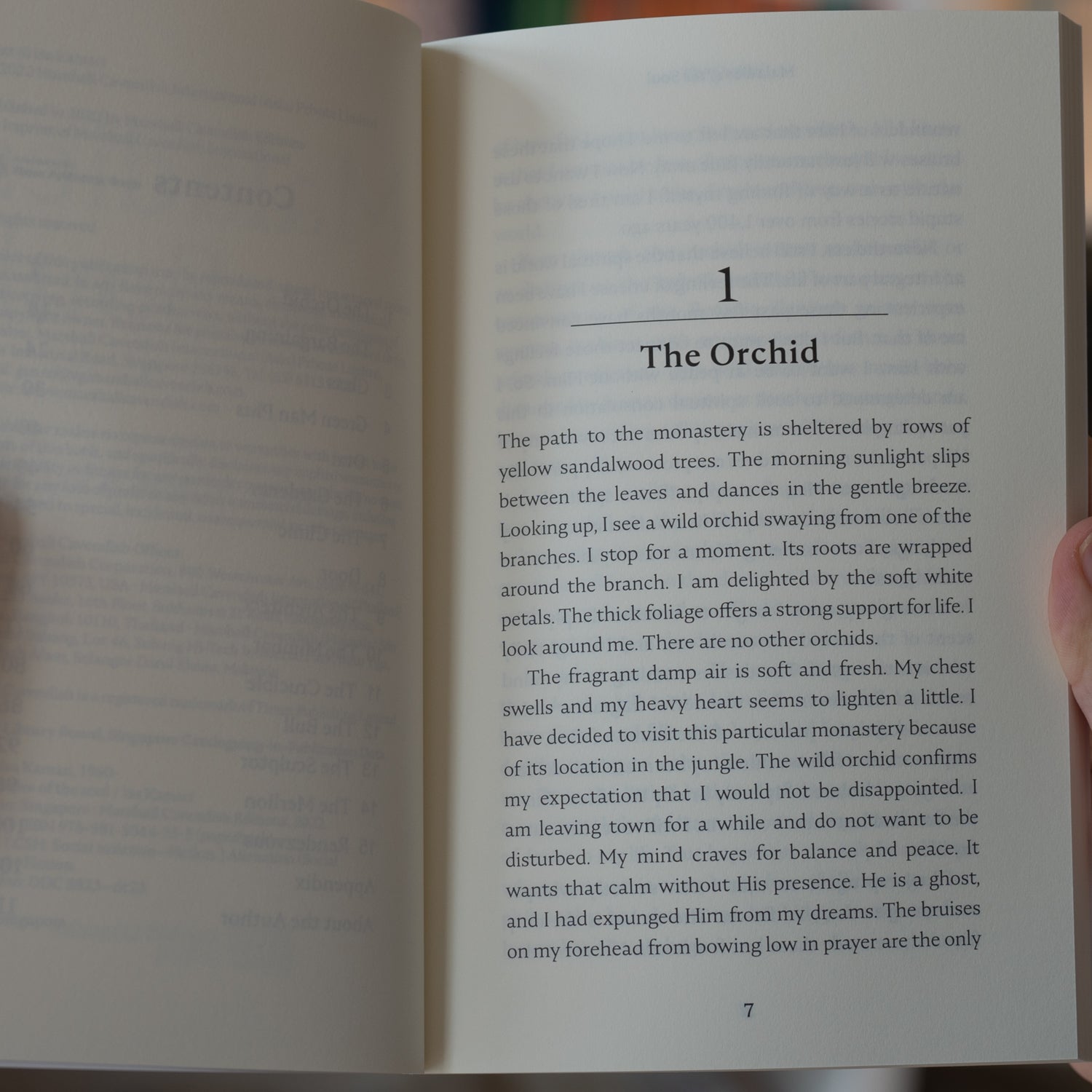 Maladies of the Soul、mySite、topwebapps