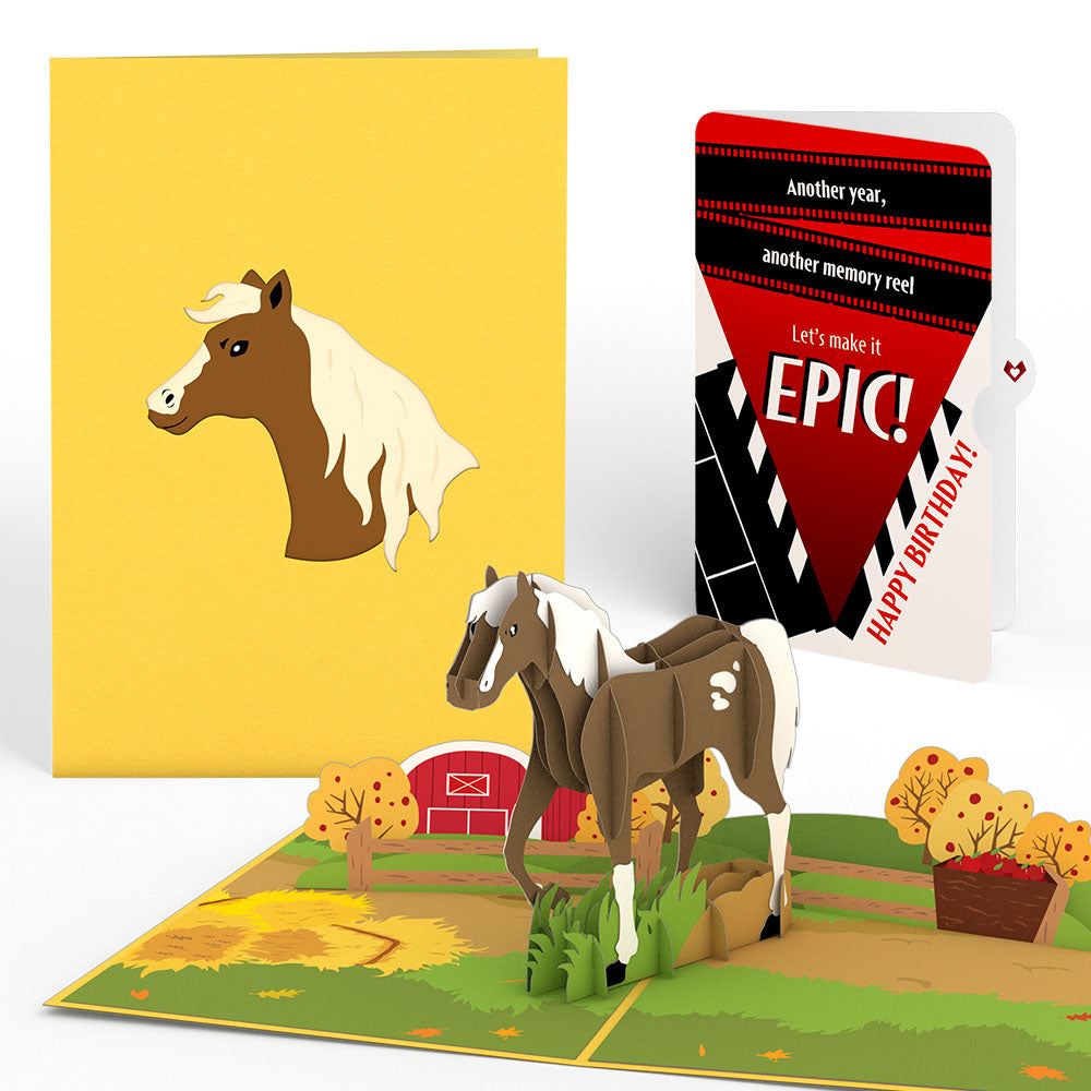 Horse Birthday Pop-Up Card and Epic Reel Sentiment Set、mySite、solidvoid