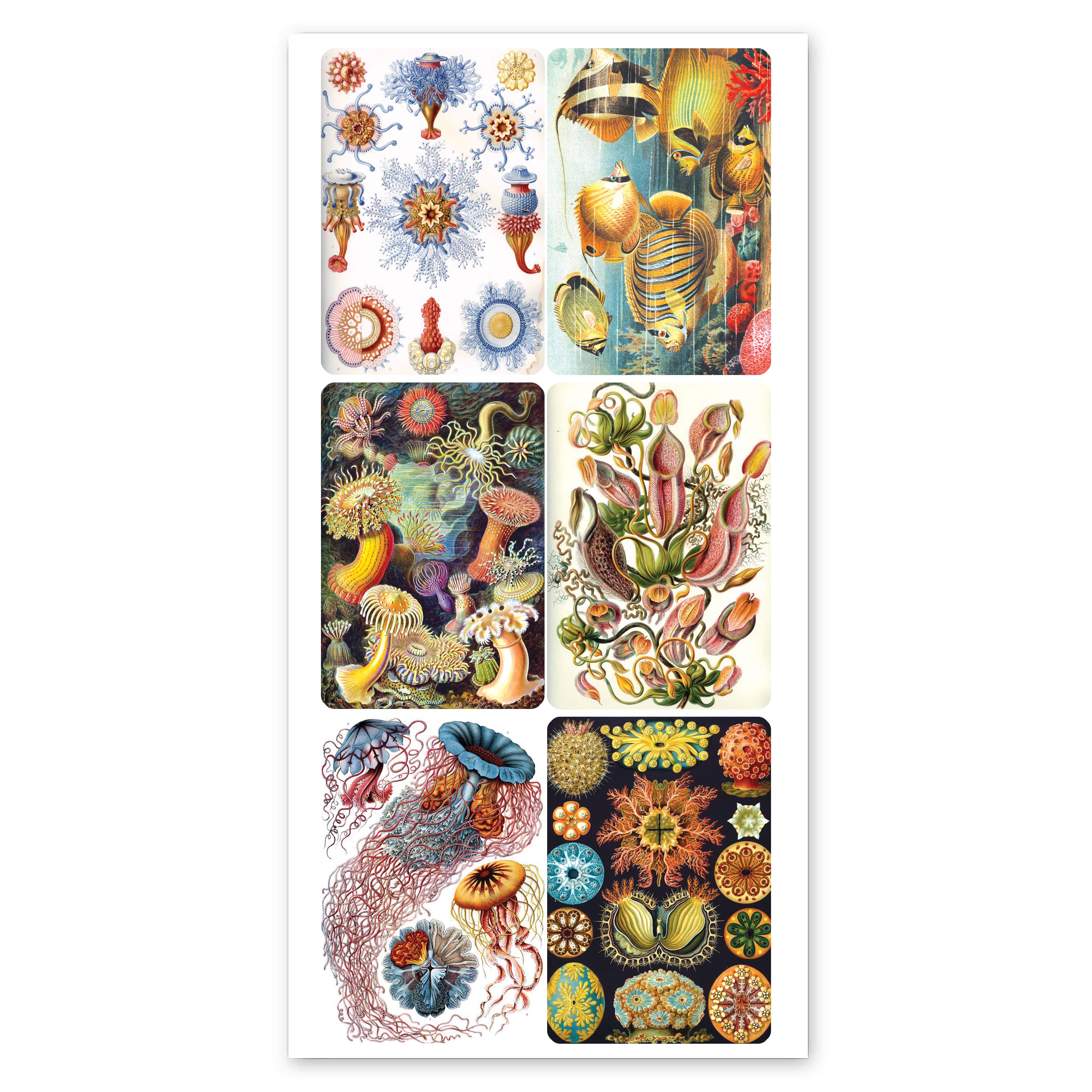  Ops Stickers、mySite、ghnorth