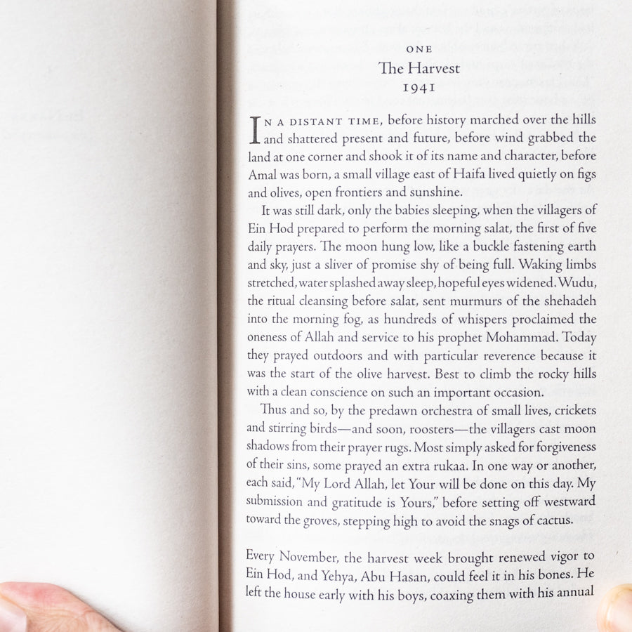 Mornings in Jenin - 15th Anniversary Edition、mySite、topwebapps