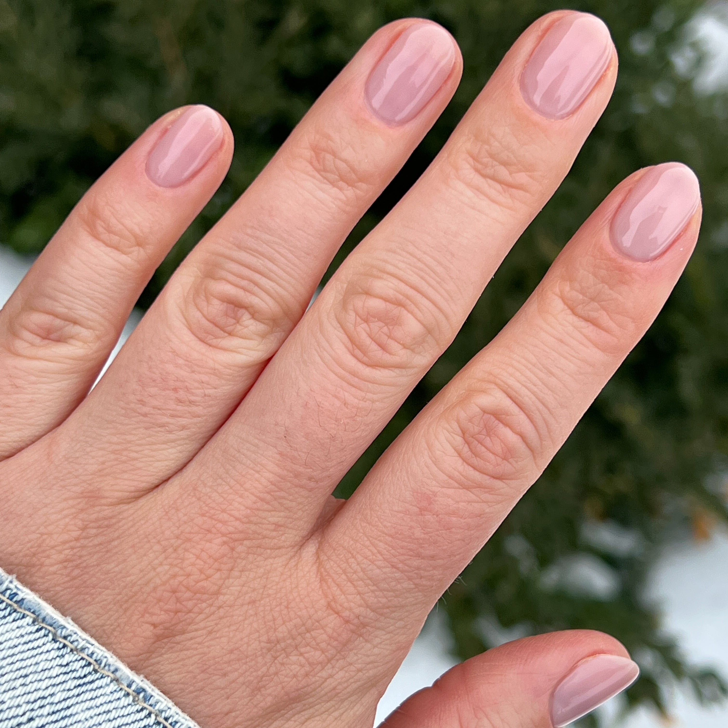 The Queen Takes her Tea with Milk、mySite、solidvoid