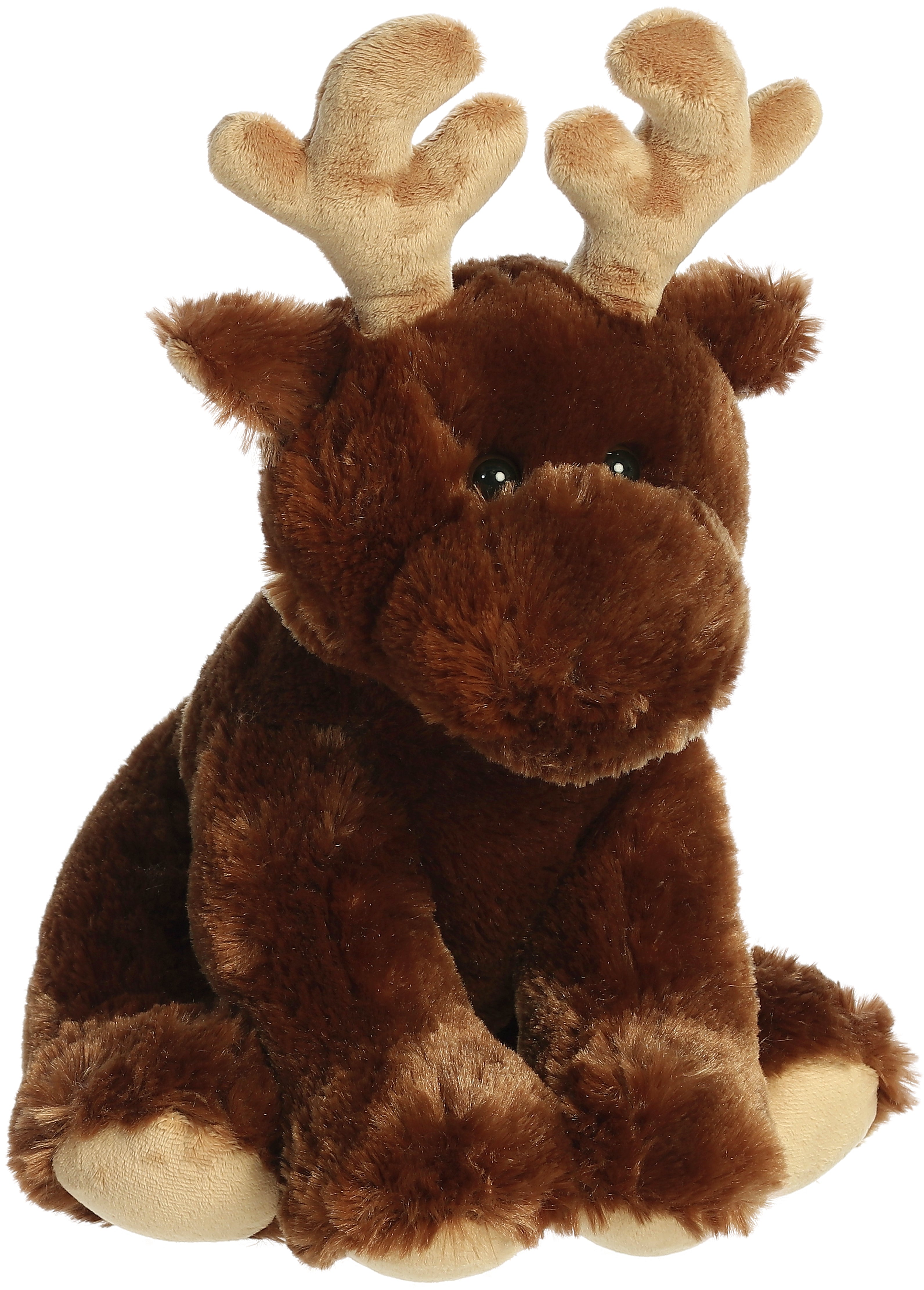 Aurora® - 14 Moose、mySite、g9winljtr