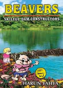 Beavers: Skilful Dam Constructors (PB)、mySite、topwebapps