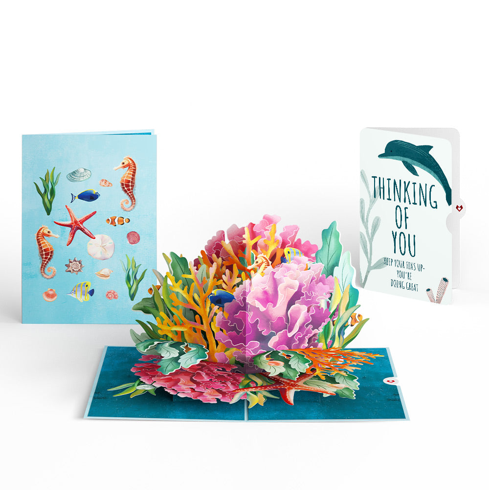 Coral Reef Wonders Thinking of You Pop-Up Card and Sentiment Set、mySite、solidvoid