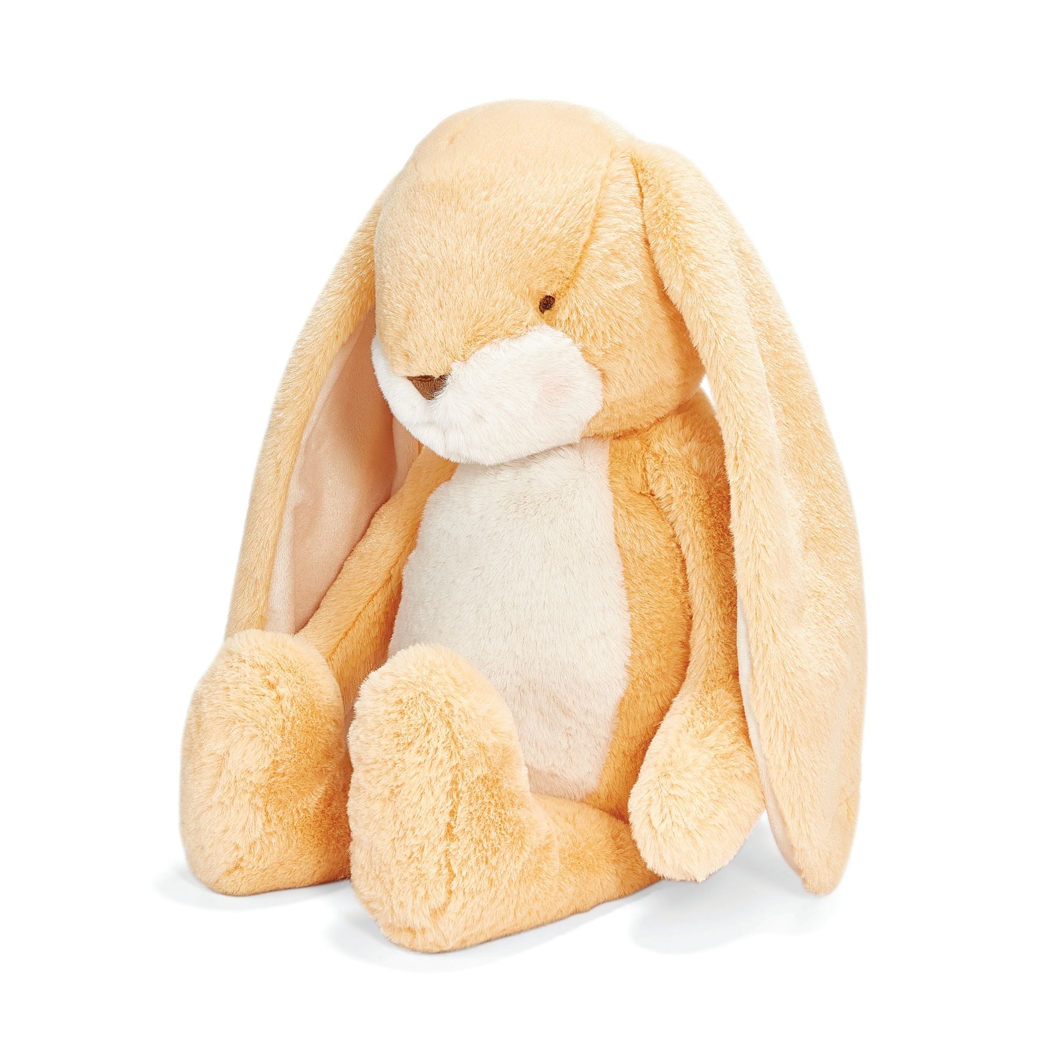 Big 20 Floppy Nibble Bunny- Apricot Cream、mySite、g9winljtr