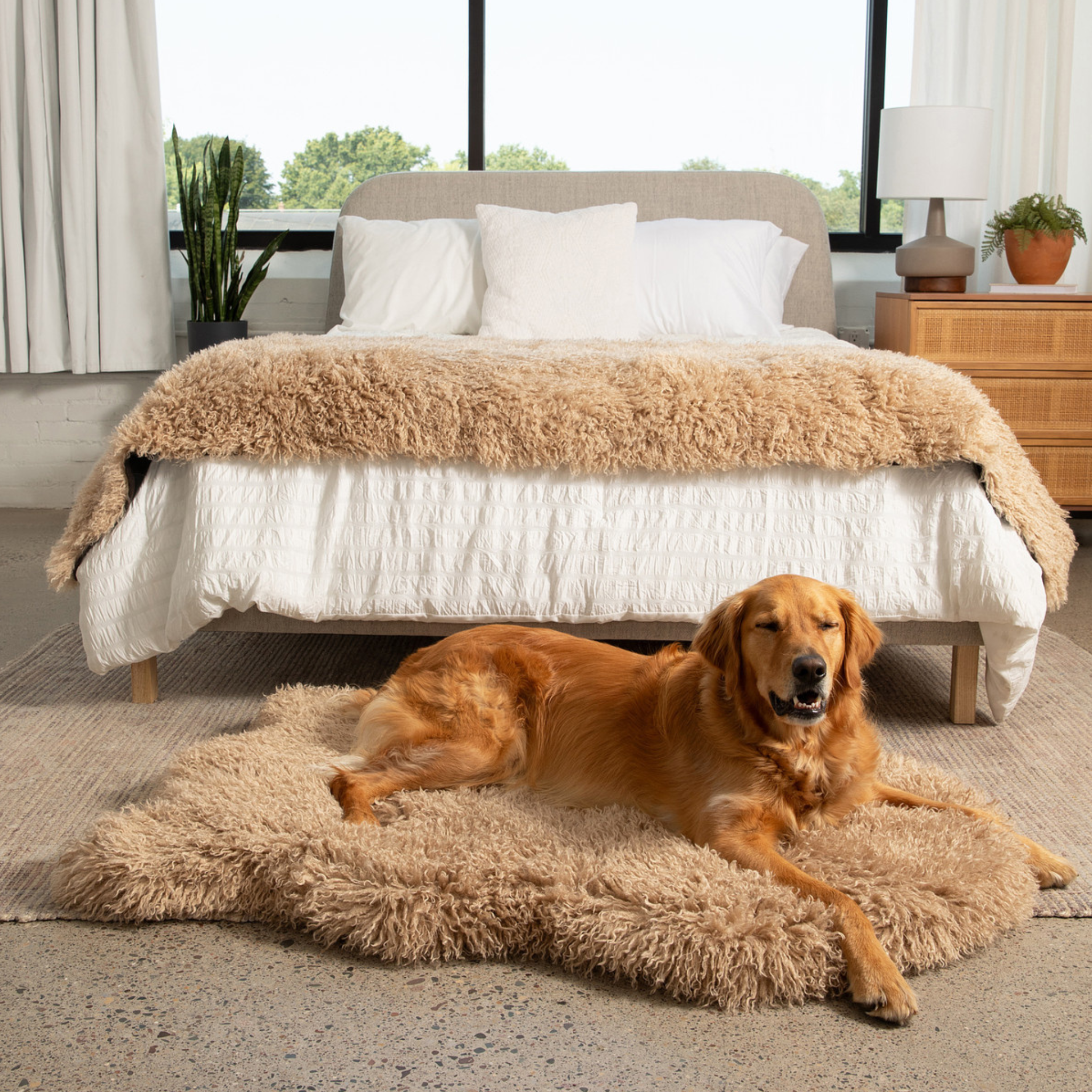 PupRug™ Luxe Faux Fur Orthopedic Dog Bed - Plush Sheep Tan、mySite、solidvoid