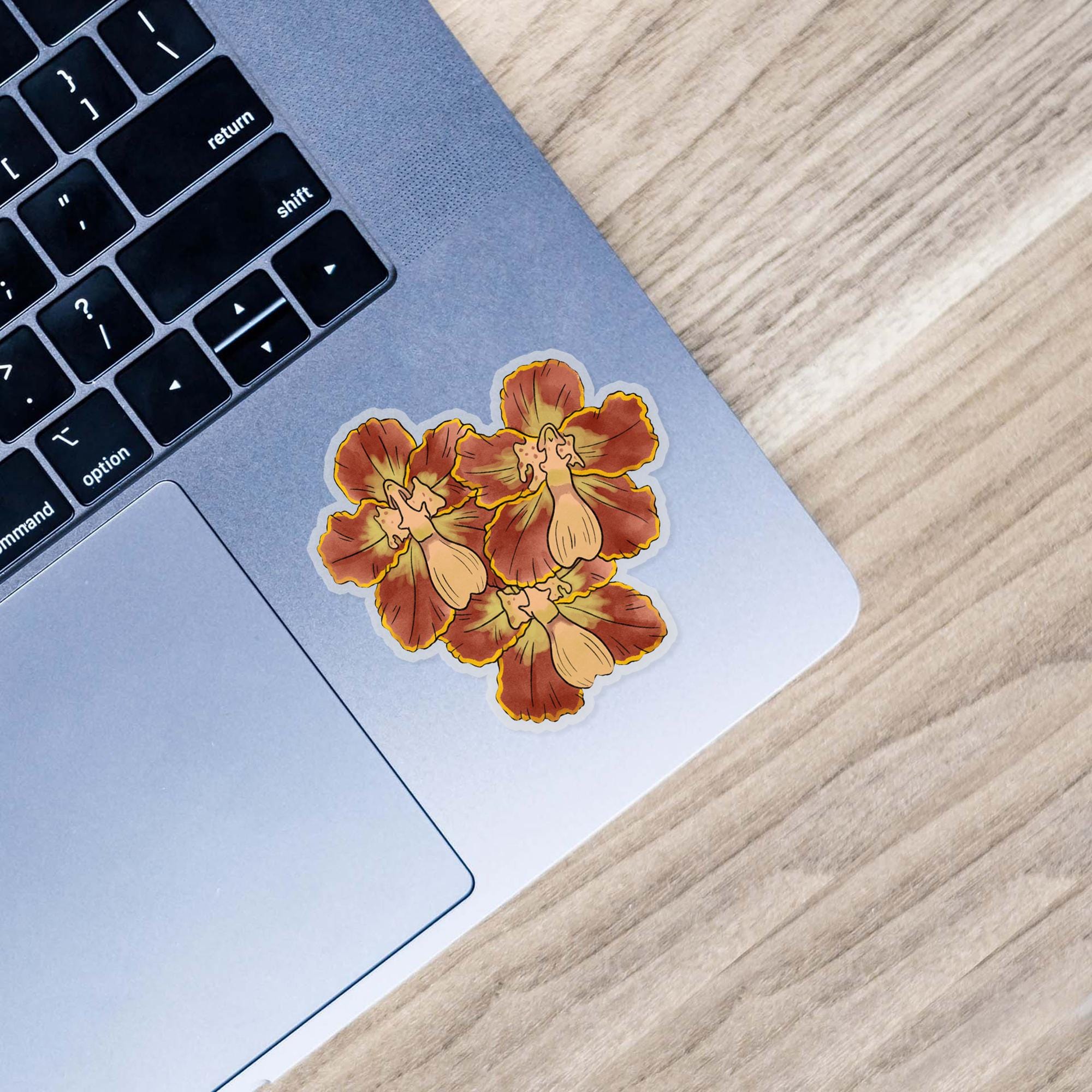  Moth Orchids - Botanical Clear Sticker、mySite、elrpsem3k