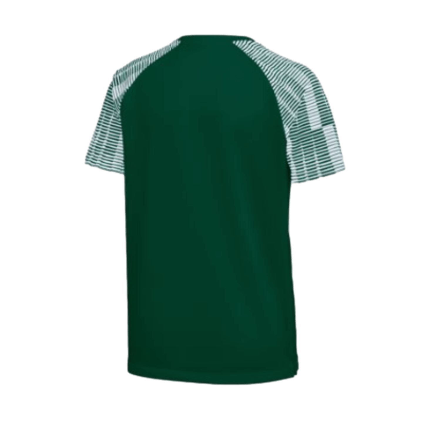 Nike Youth Dri-FIT Academy Jersey - Green、mySite、noshort
