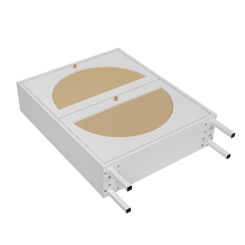 2 Door Shoe Rack, Rattan, Double Layer, Suitable for Living Room, Hallway、、casual