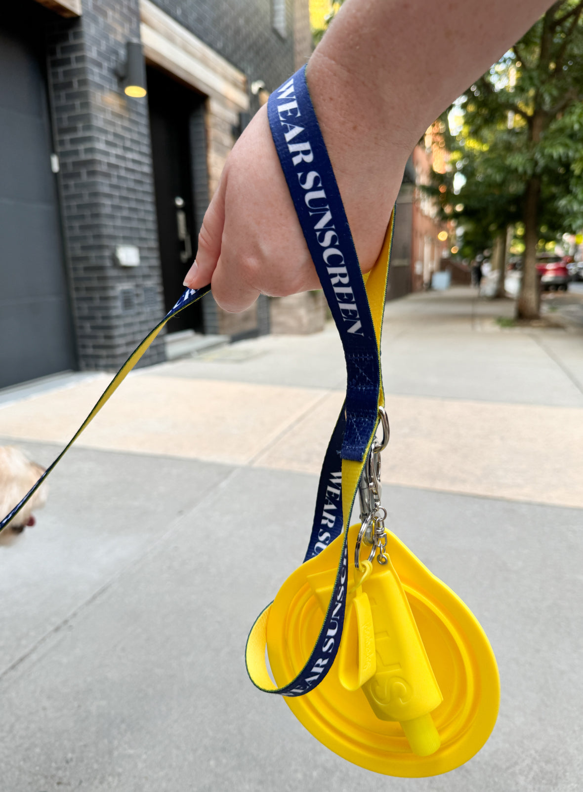  Dog Days SPF & Merch Set、mySite、ghnorth