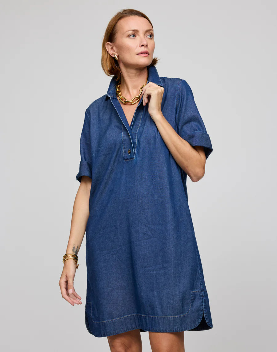 Hinson Wu Aileen Short Sleeve Denim Dress、mySite、noshort