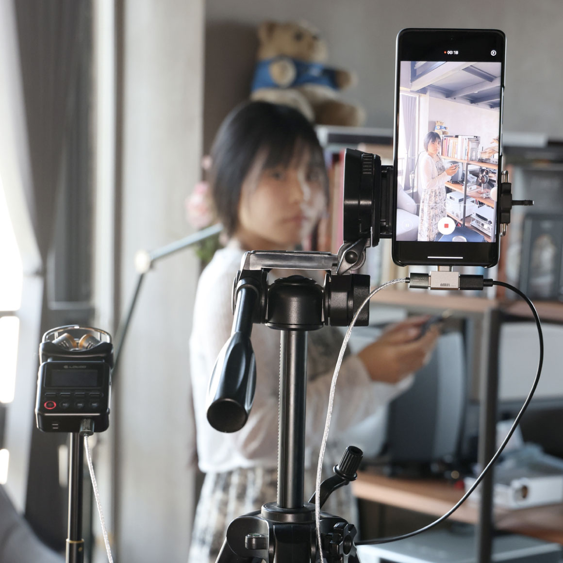  ddHiFi - TC28CPro USB-C to USB-C OTG & Adapter、mySite、merchandisen