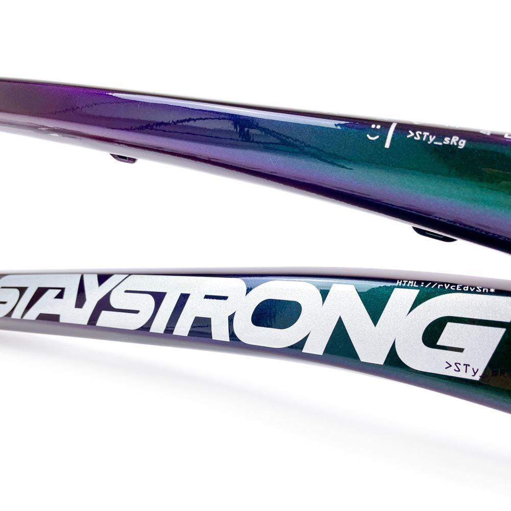  Stay Strong For Life 2024 V5 Pro XXL Race Frame - Disc version、mySite、merchandisen